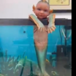 بوجه طفل باسم وجسم سمكة.. فيديو لمخلوق غريب يثير الريبة