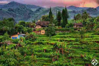 أهم الاماكن السياحية في بونشاك اندونيسيا