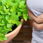 علاج مغص البطن بالأعشاب