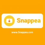 Snappea أفضل محول يوتيوب إلى mp3 لجميع الأجهزة