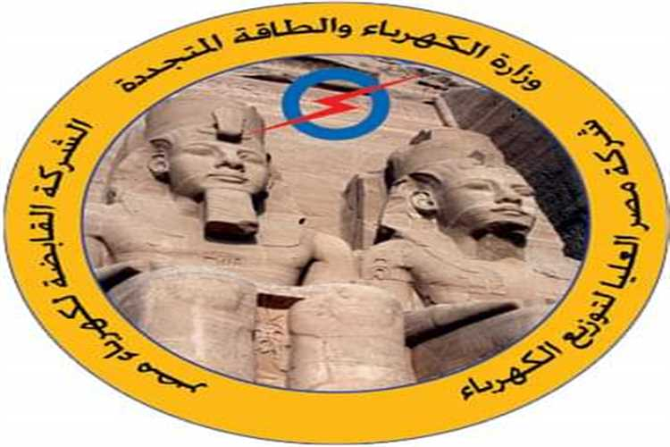 شركة مصر العليا لتوزيع الكهرباء تسجيل قراءة العداد
